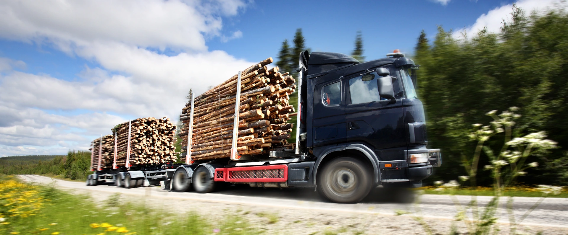 Camions XXL pour le transport du bois